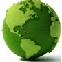 THE GREEN GLOBE